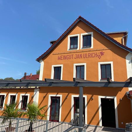 Hotel Weingut Jan Ulrich Diesbar-Seusslitz Exterior foto