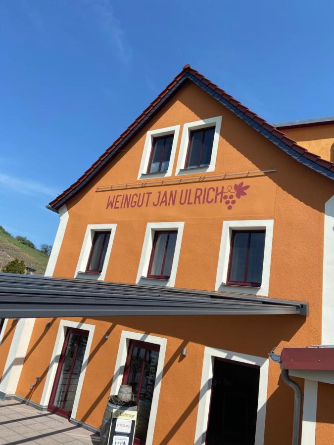 Hotel Weingut Jan Ulrich Diesbar-Seusslitz Exterior foto