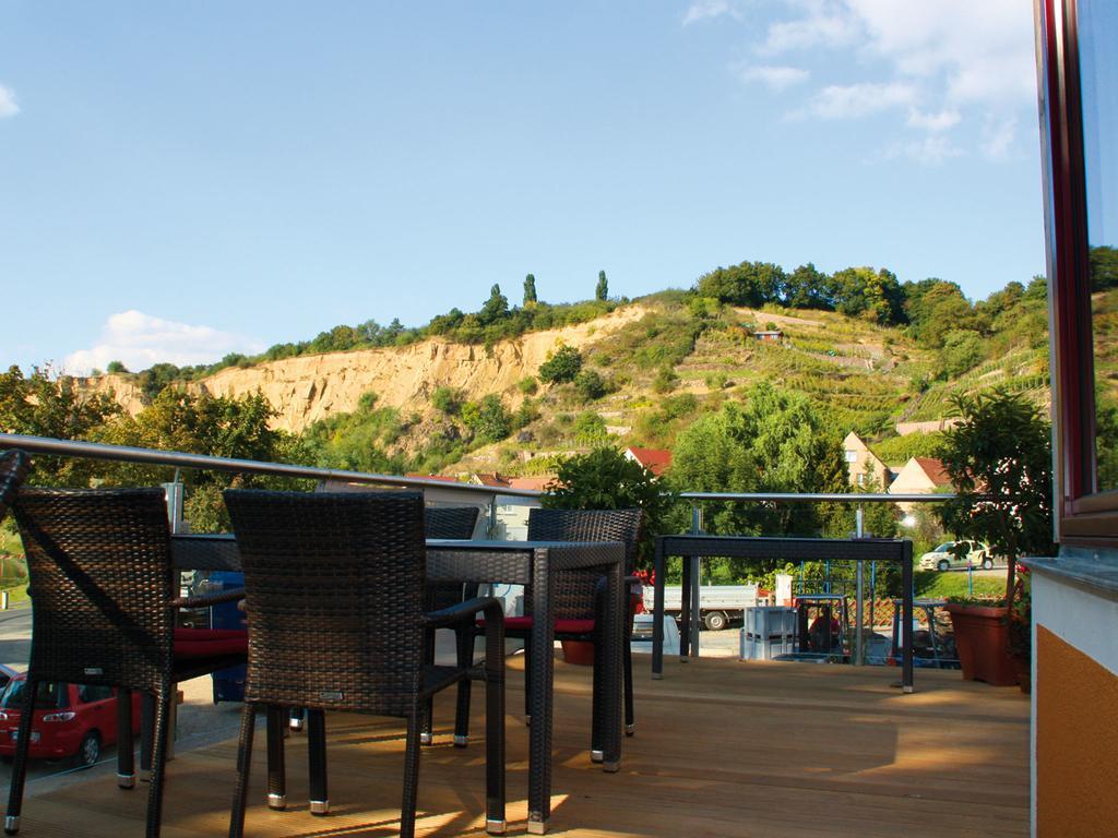 Hotel Weingut Jan Ulrich Diesbar-Seusslitz Exterior foto
